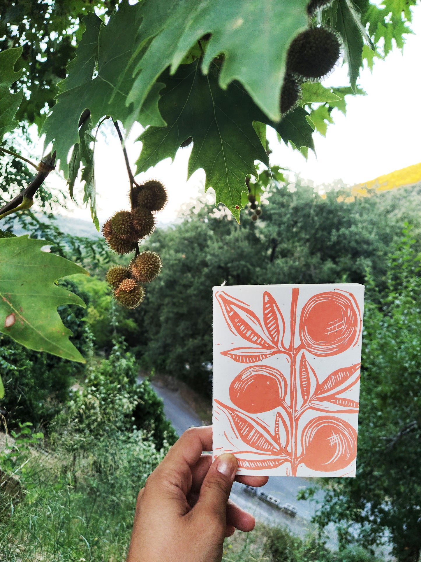 Abstract Flower Plantable Journal