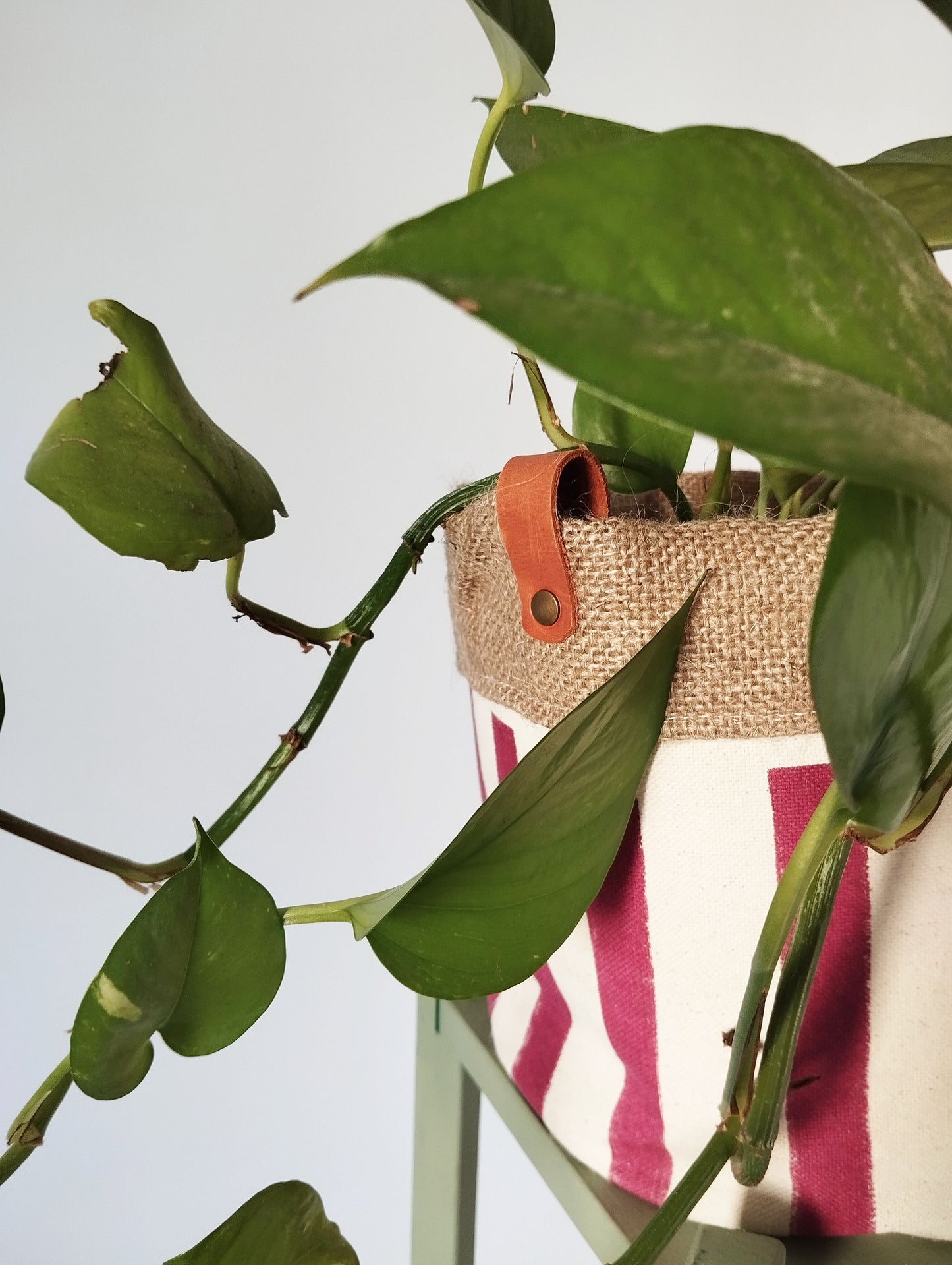 Medium Striped Indoor Planter