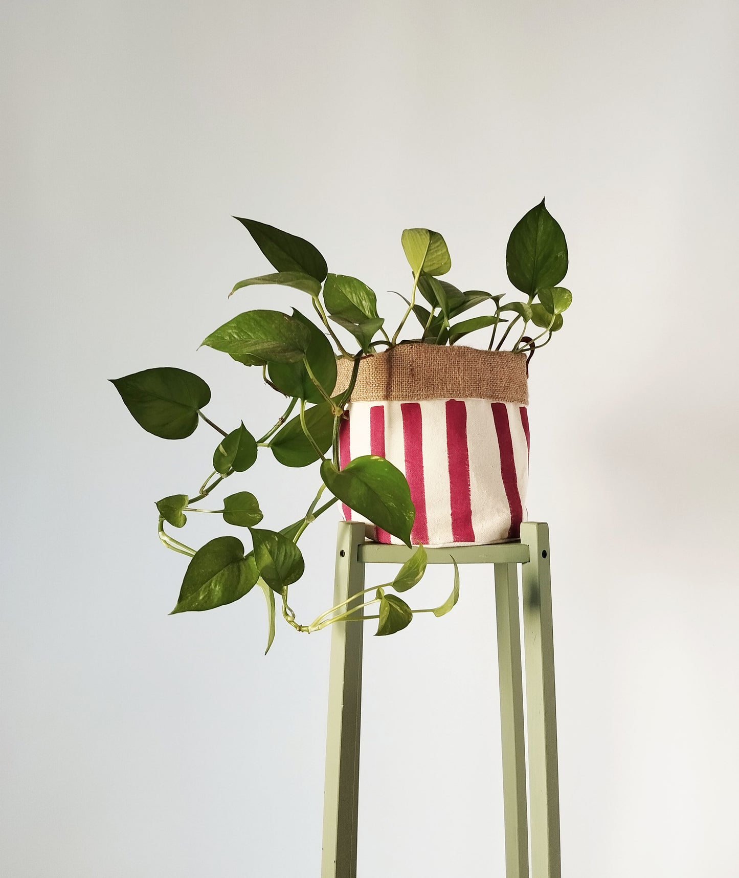 Medium Striped Indoor Planter