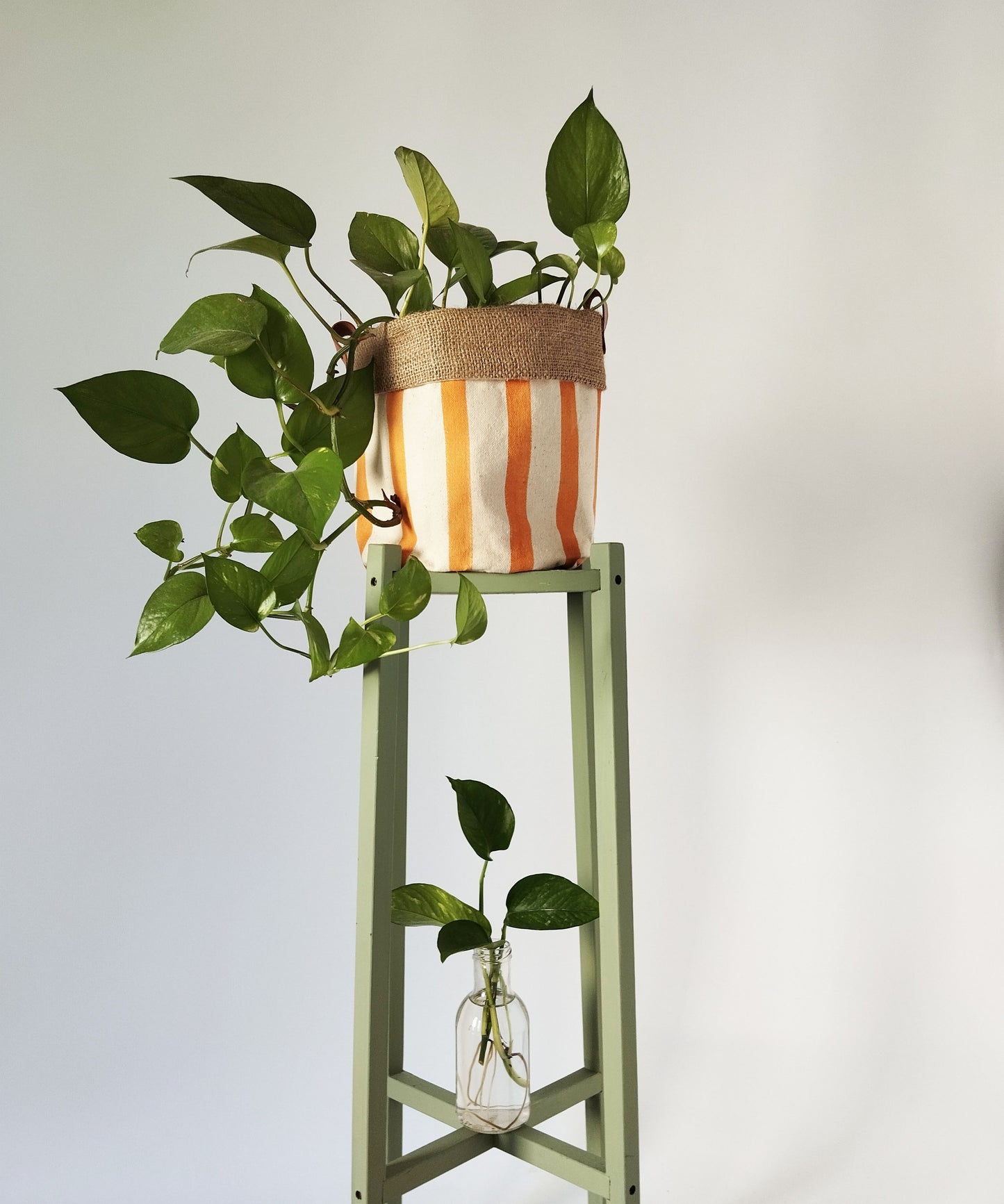 Medium Striped Indoor Planter