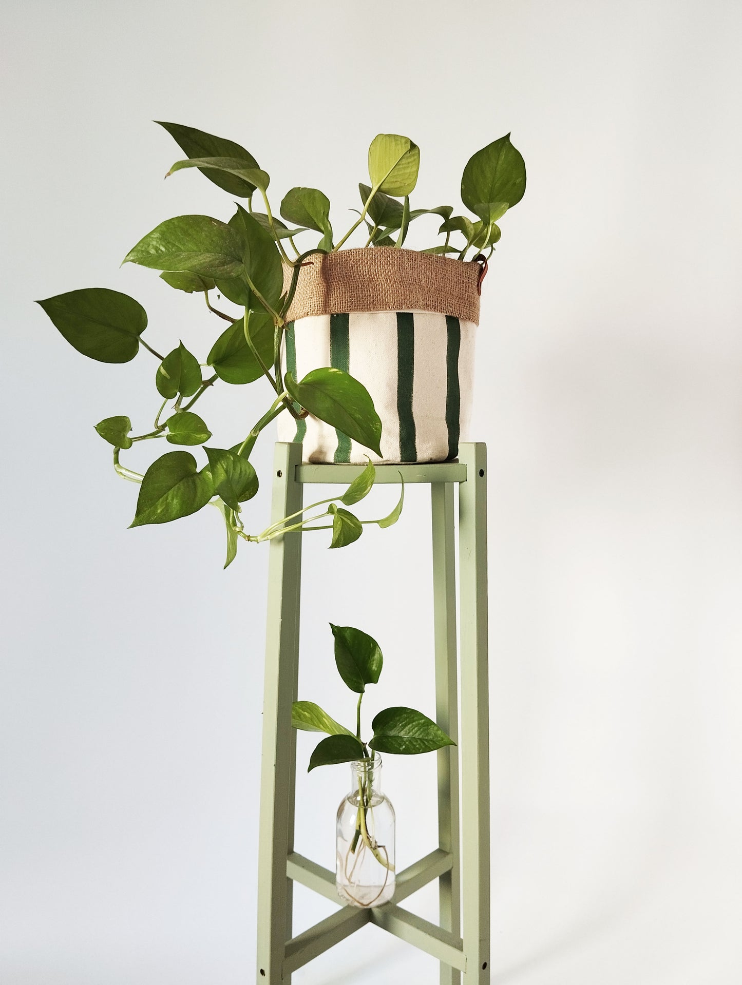 Medium Striped Indoor Planter