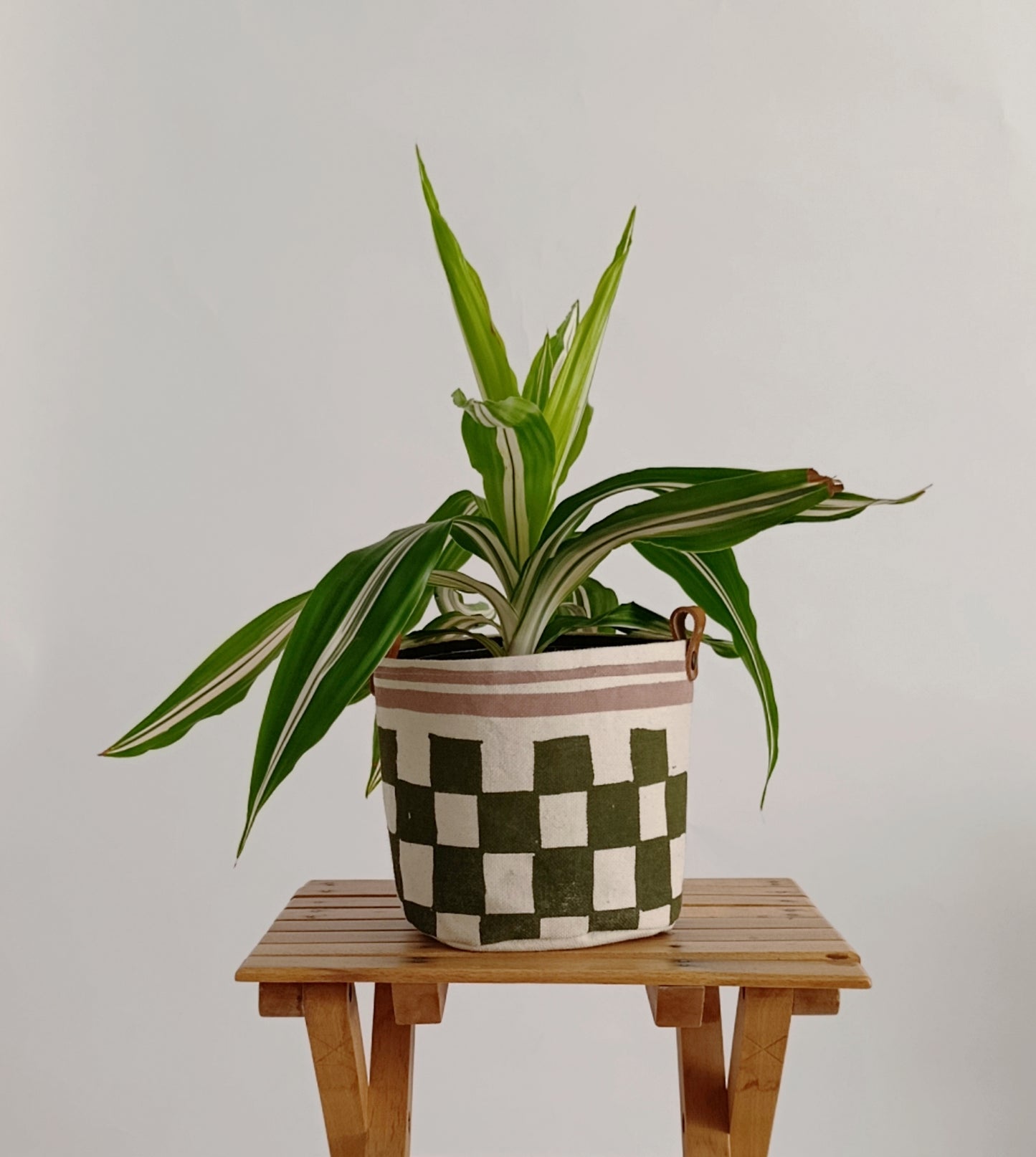 Checkerboard Canvas Planter | Hand Painted Olive Green & Pink Fabric Plant Pot
