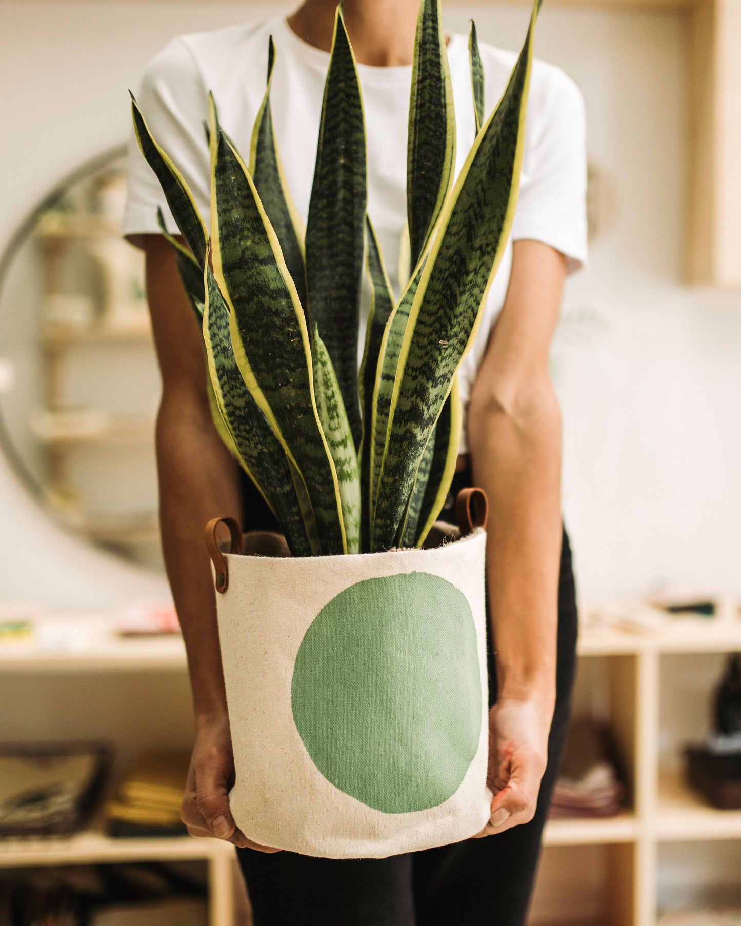 Medium Color Block Indoor Planter