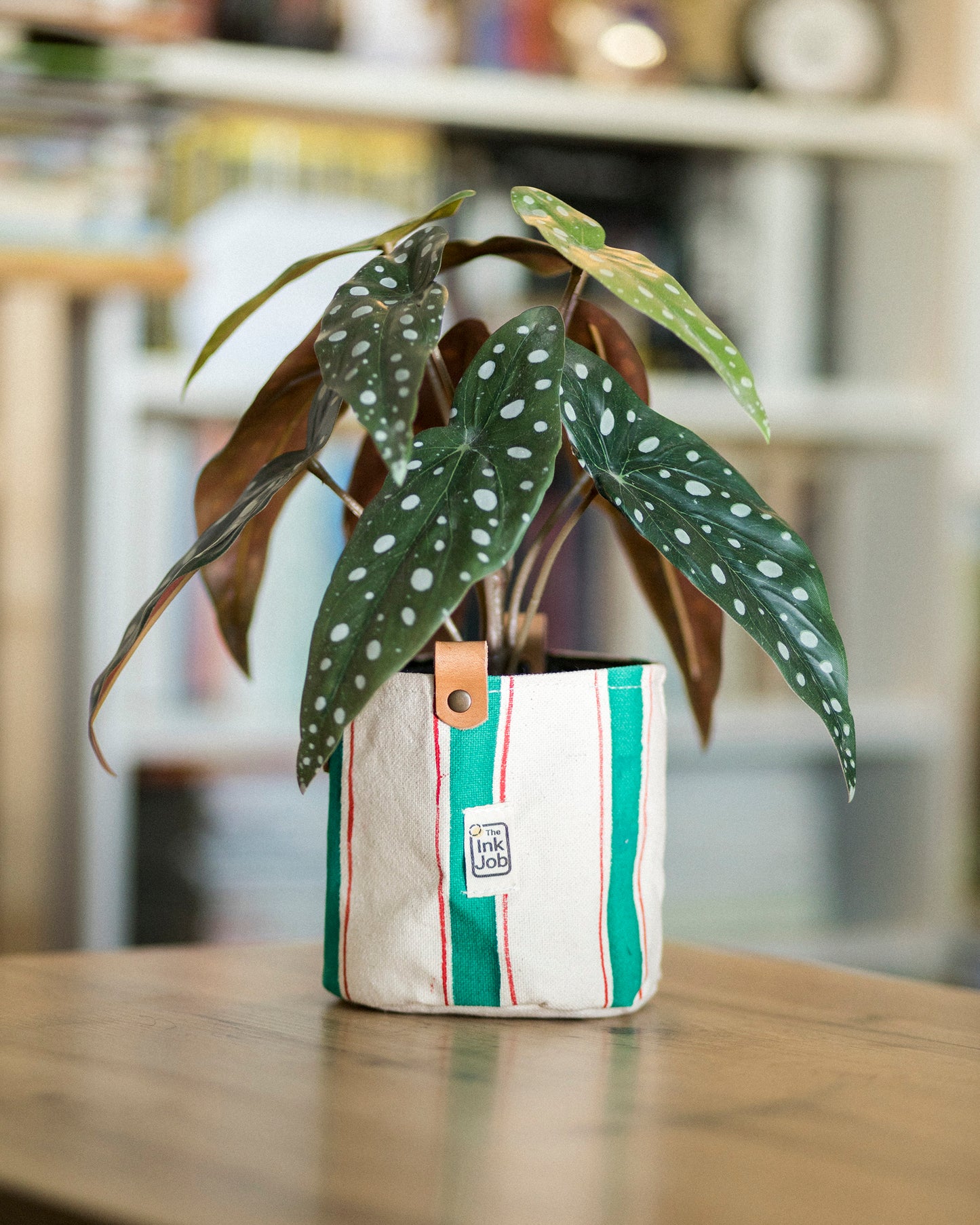 Striped Canvas Planter | Hand Painted Fabric Plant Pot