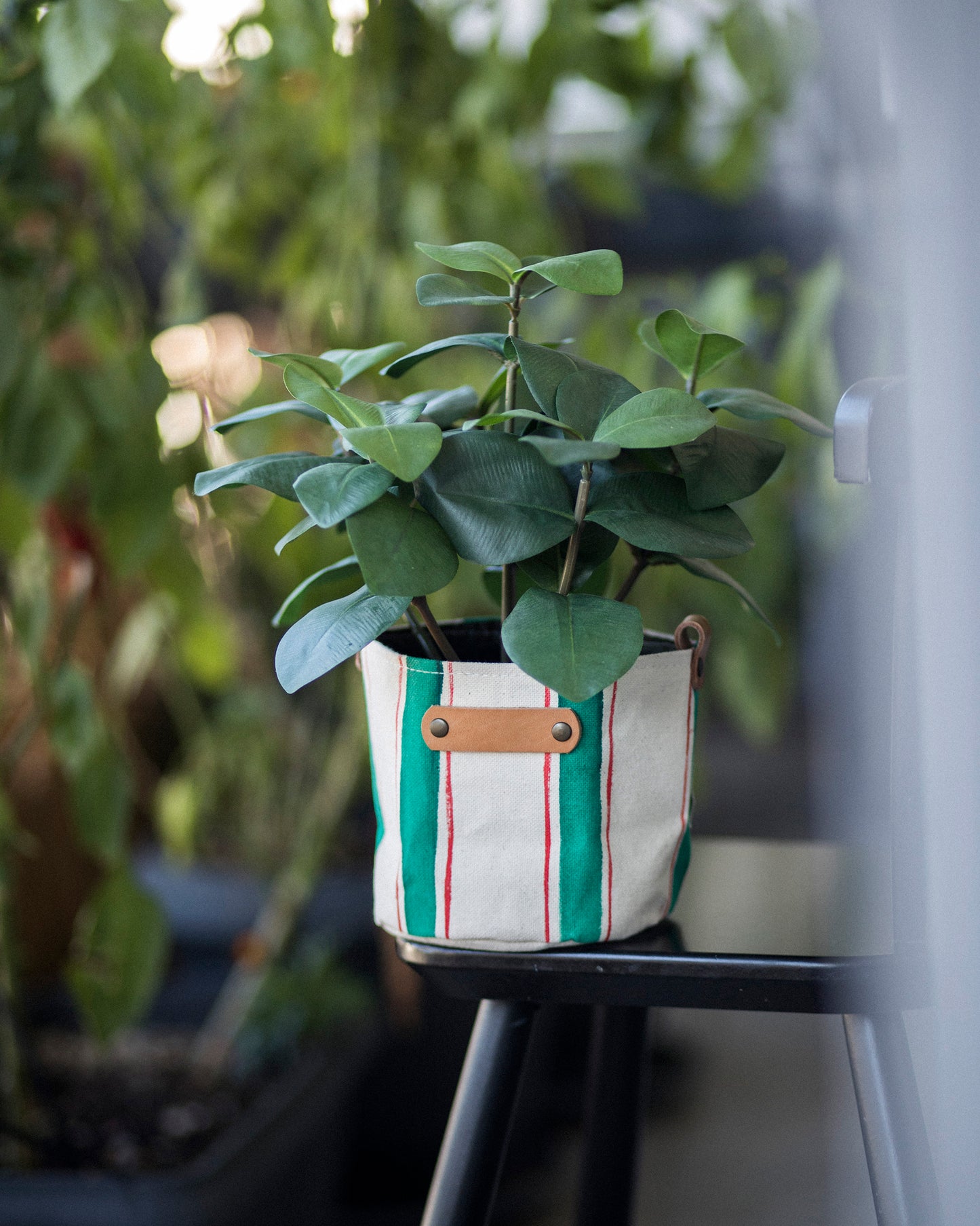 Striped Canvas Planter | Hand Painted Fabric Plant Pot