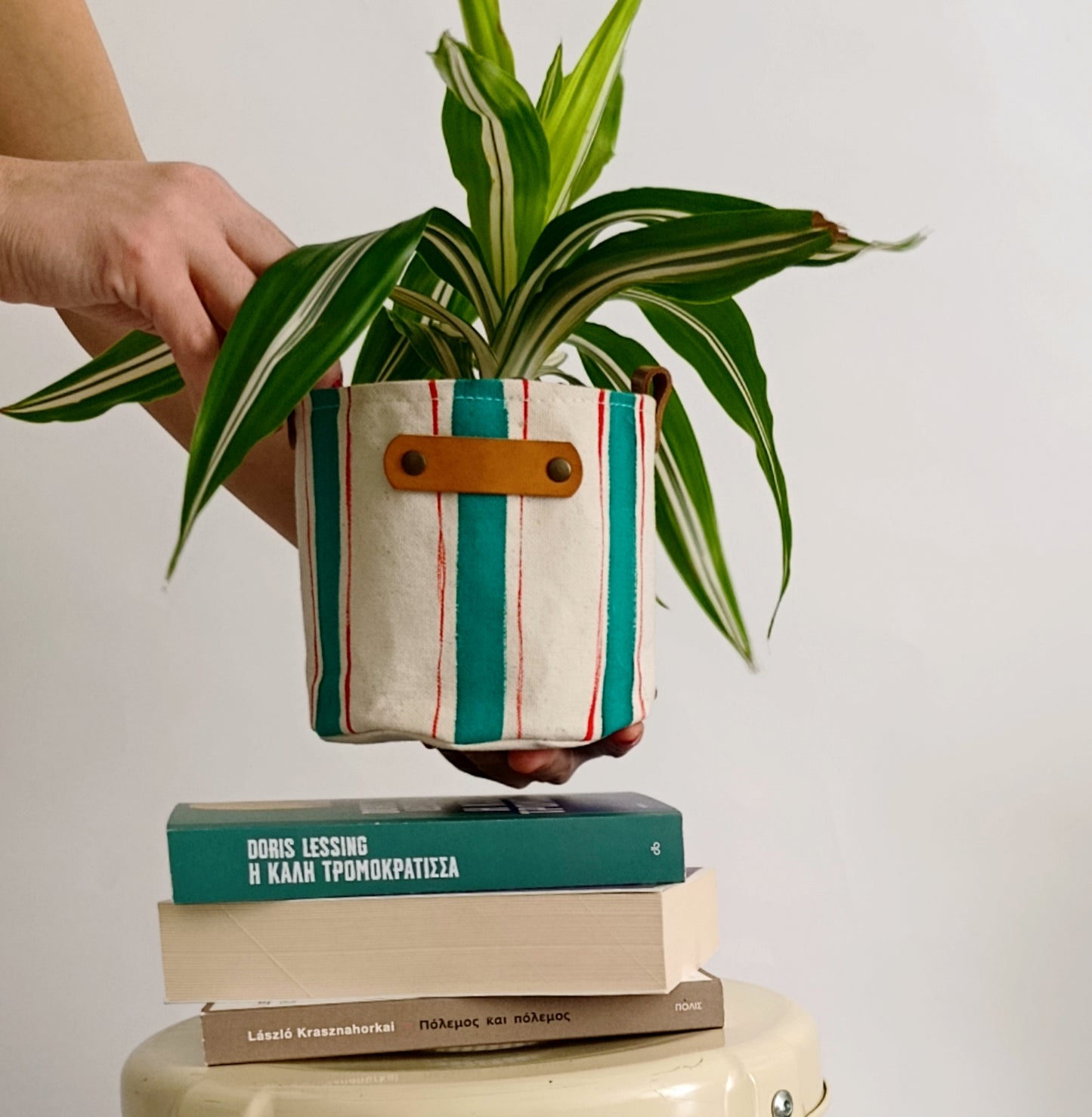 Striped Canvas Planter | Hand Painted Fabric Plant Pot