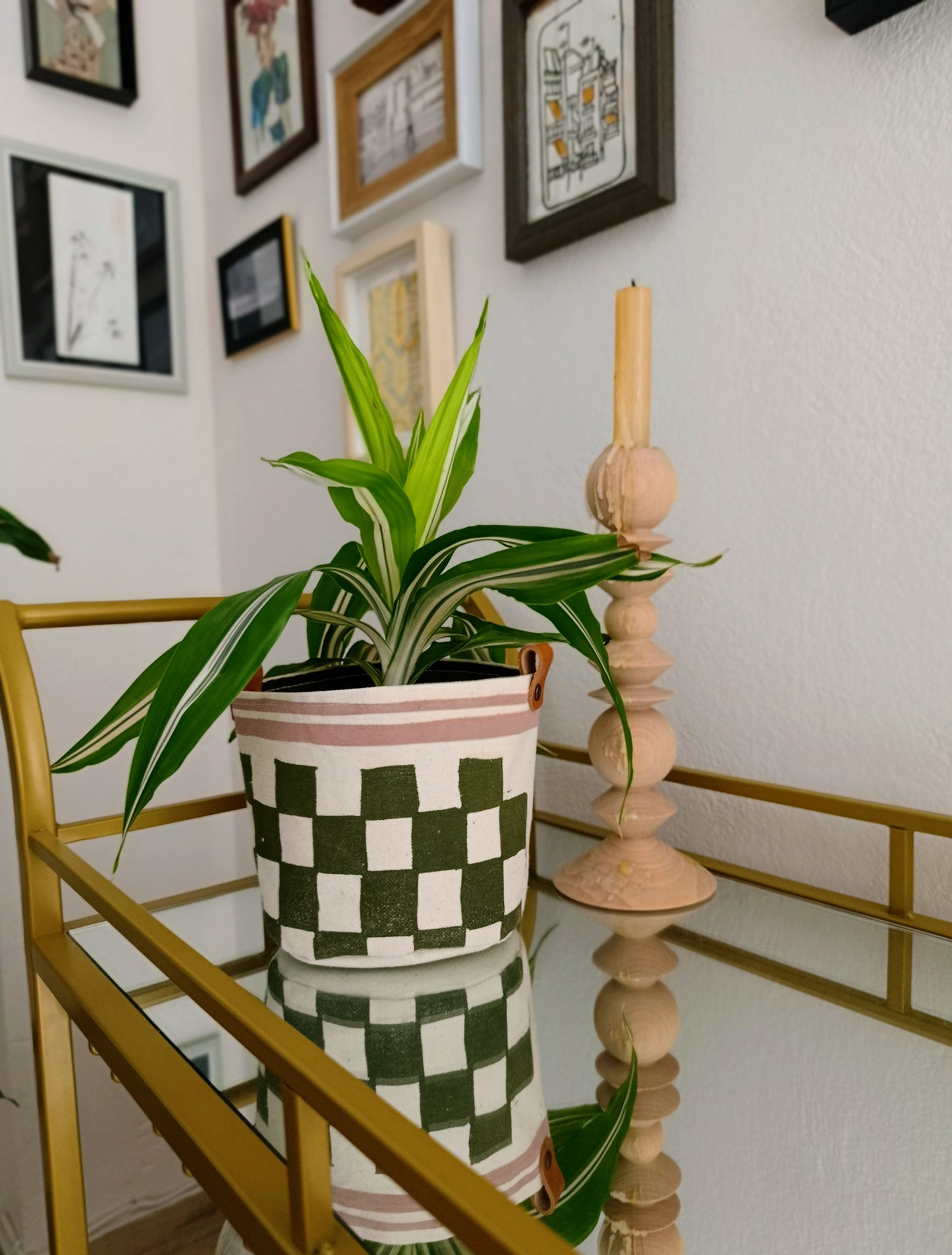 Checkerboard Canvas Planter | Hand Painted Olive Green & Pink Fabric Plant Pot