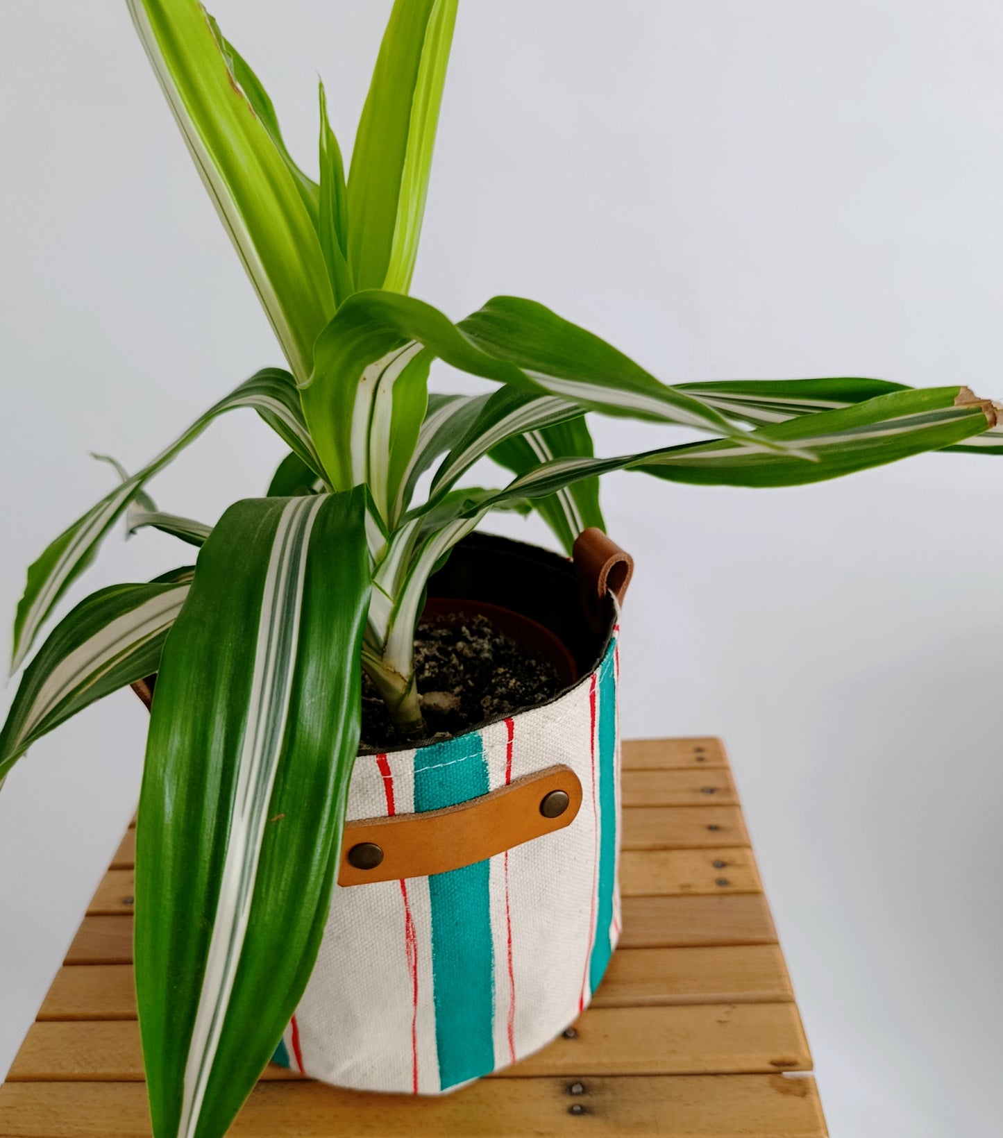 Striped Canvas Planter | Hand Painted Fabric Plant Pot
