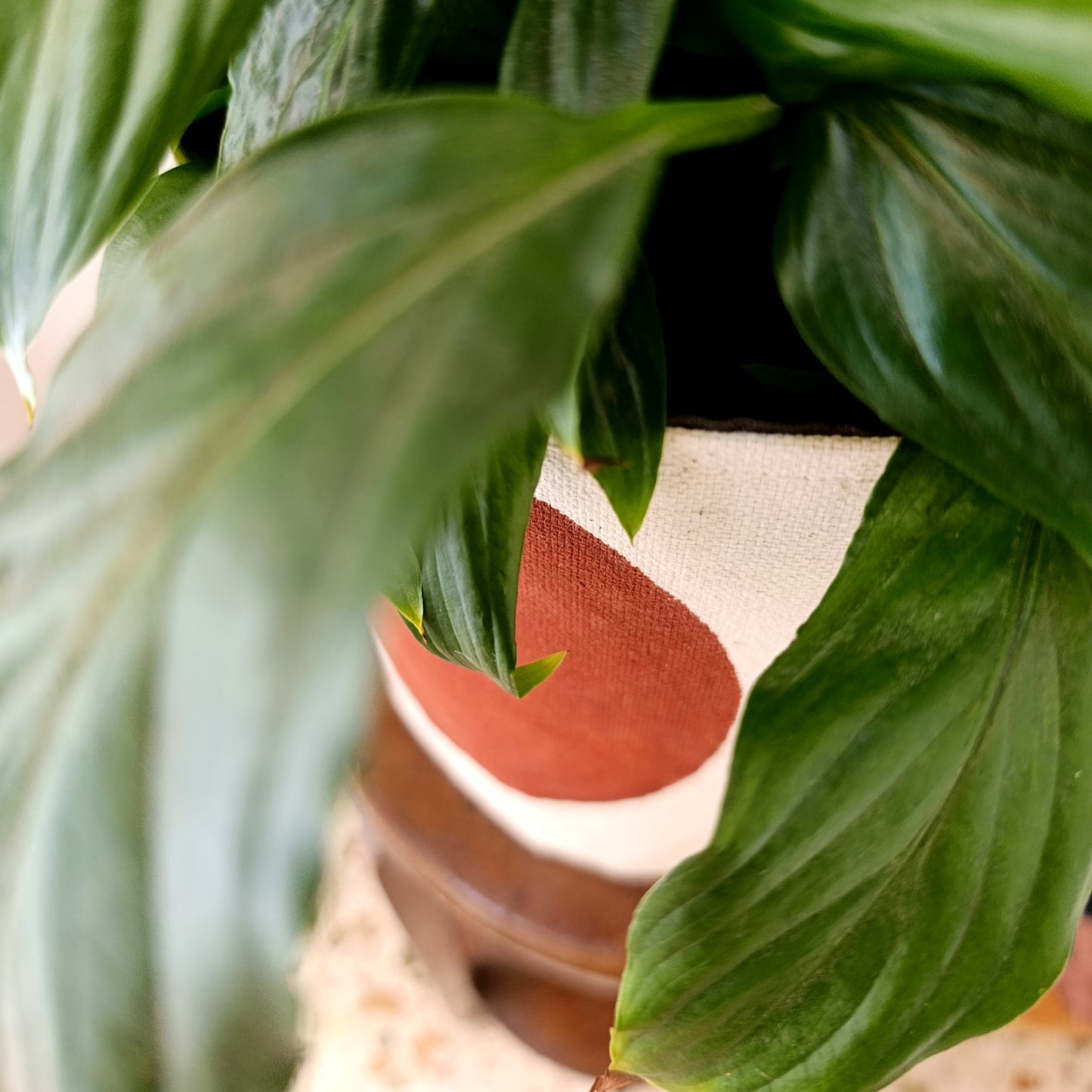 Terracotta Canvas Planter Cover