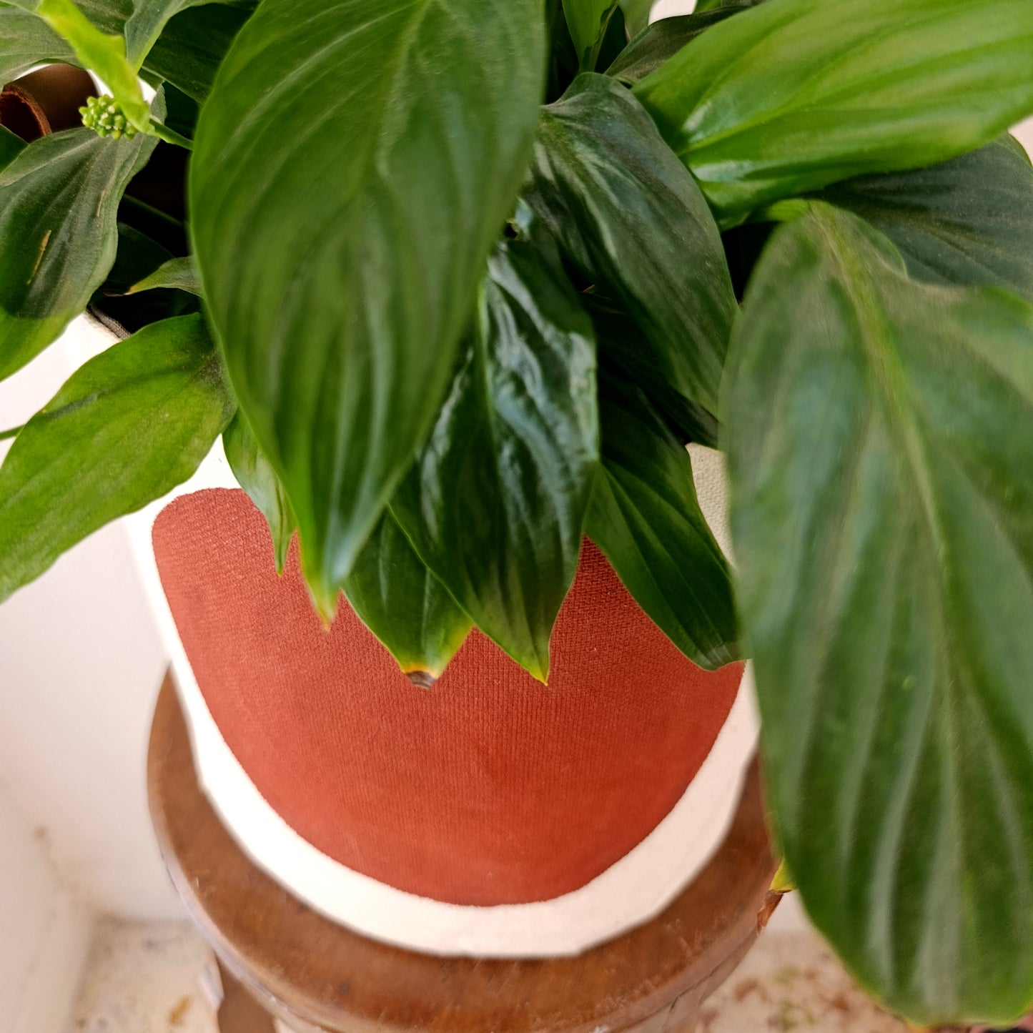 Terracotta Canvas Planter Cover