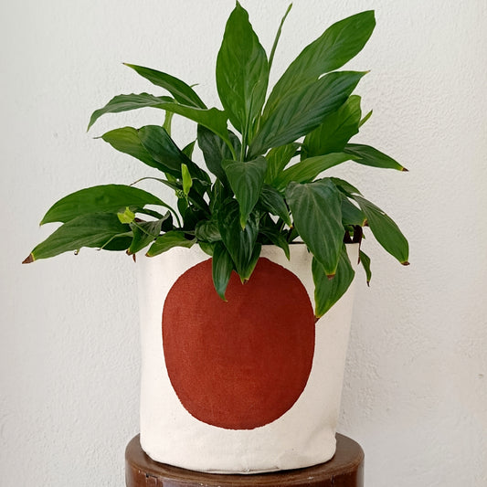 Terracotta Canvas Planter Cover