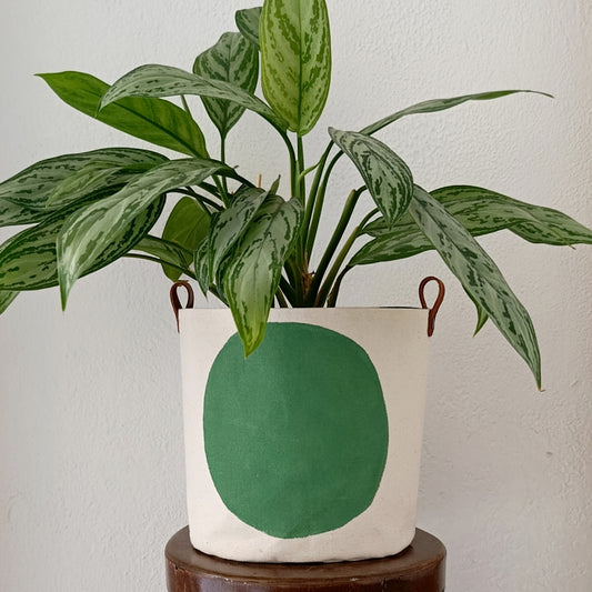 Mint Green Canvas Planter Cover