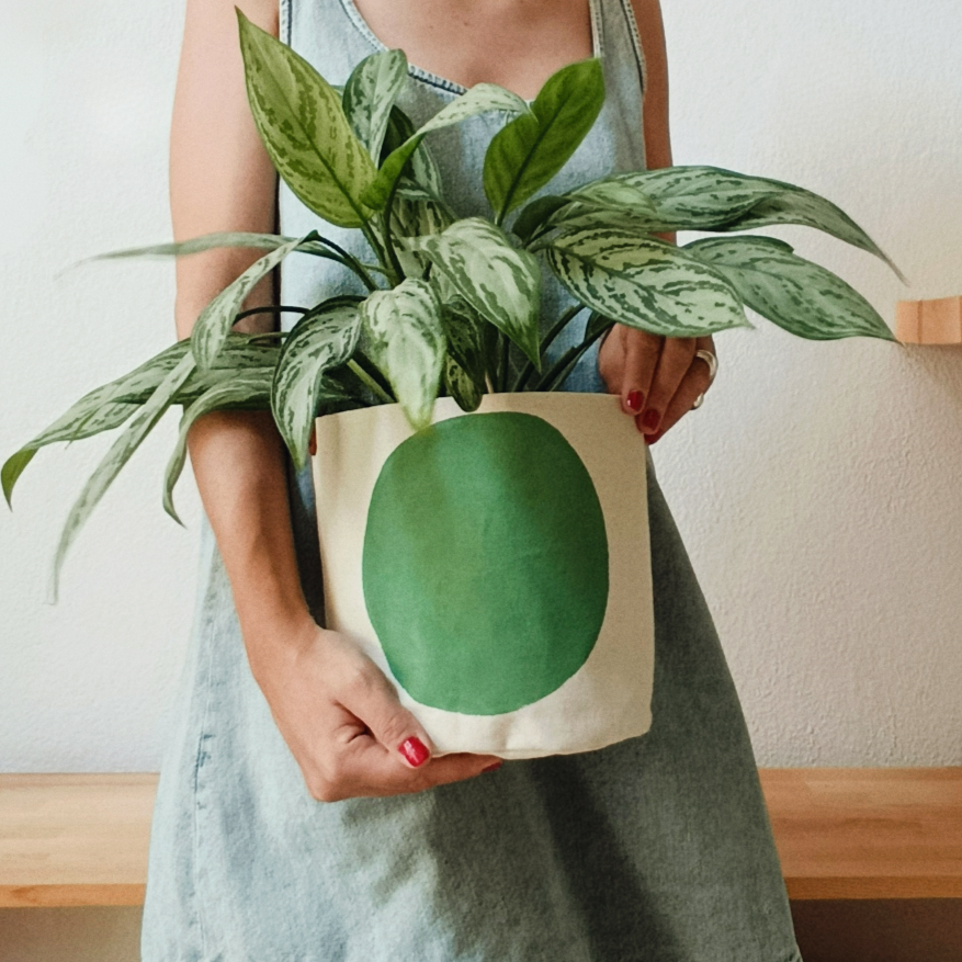 Mint Green Canvas Planter Cover